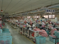 shanghai005.jpg